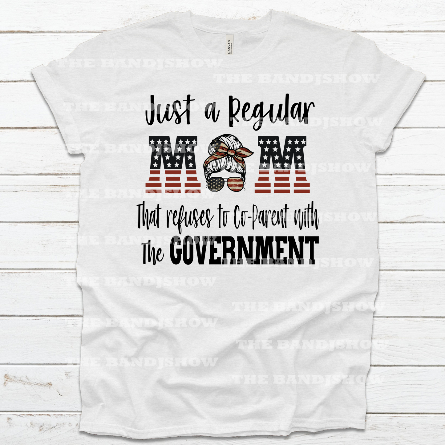 Just a Regular Mom Not CoParenting With the Government